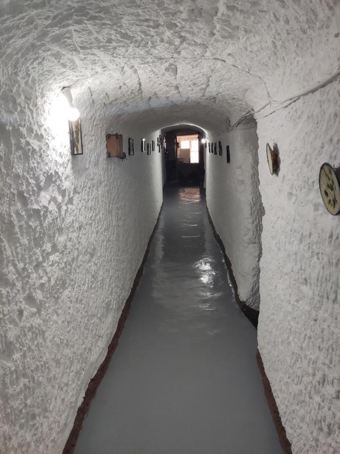 Cueva Navarro Gorafe Екстериор снимка